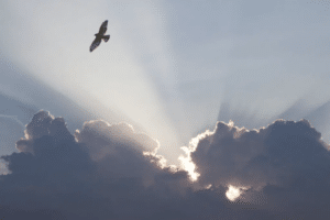 Remote Interviewing - The Silver Lining Remote Interviewing - The Silver Lining