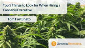 Top 5 Things to Look for When Hiring a Cannabis Executive